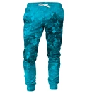 Spodnie męskie ze wzorem Blue Walt Dealer