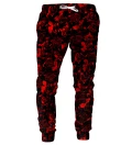 Spodnie męskie ze wzorem Red Walt Dealer