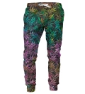 Spodnie męskie ze wzorem Colorful jane