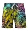 Colorful palms Shorts
