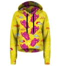 Colorful dragons Cropped Hoodie