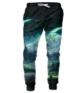 Spodnie męskie ze wzorem Aurora forest