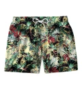 Tropical Jungle swim shorts