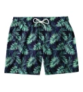 Tropical Explosion swim shorts