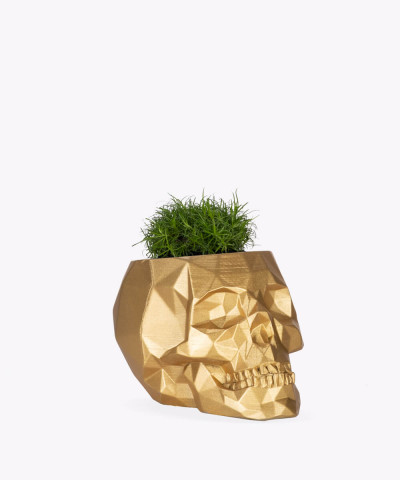 Karmnik rozesłany w złotej betonowej czaszce