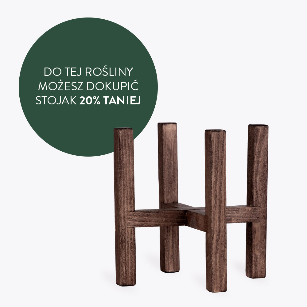 Stojak drewniany dopasowany do doniczki 15 cm
