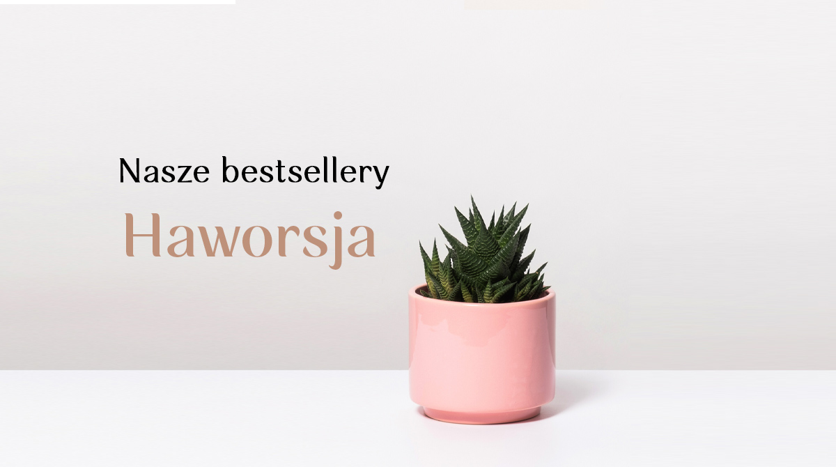 Bestsellery 3