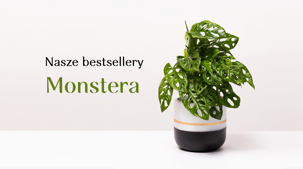 Bestsellery 4