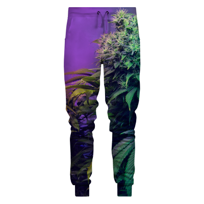 Spodnie MARIJUANA
