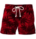 RED LEAVES swim shorts