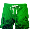 LOVE GREEN swim shorts