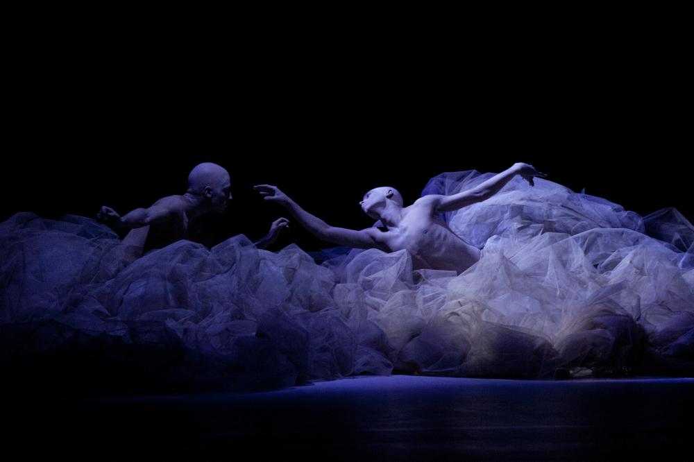 „Persona” 2011-09-18