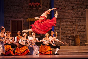 Don Quixote Collection - Royal Ballet and Opera Shop