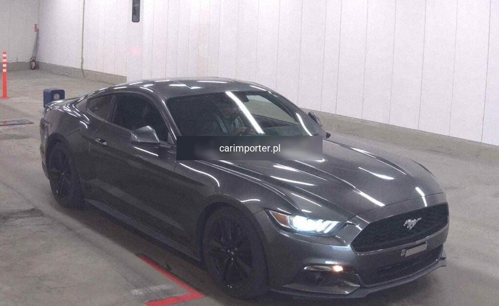 MUSTANG CP 50 YEARS EDITION
