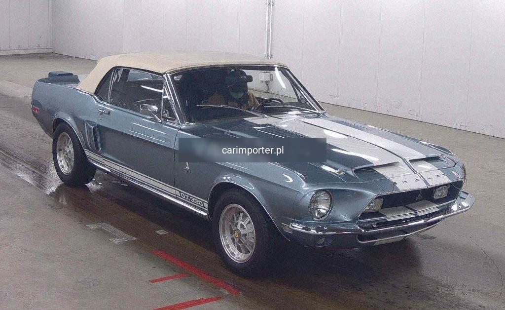 MUSTANG OP OTHERS