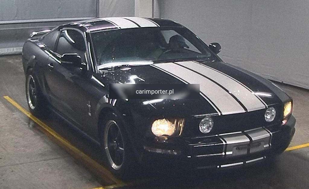 MUSTANG CP