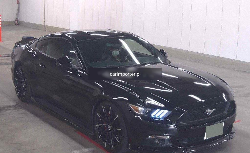 MUSTANG CP 50 YEARS EDITION