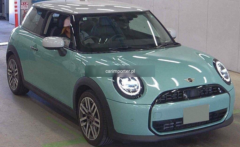 MINI 3D OTHERS
