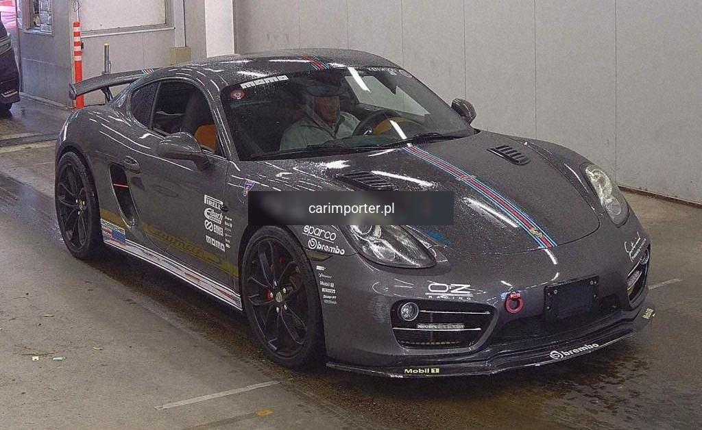 CAYMAN S