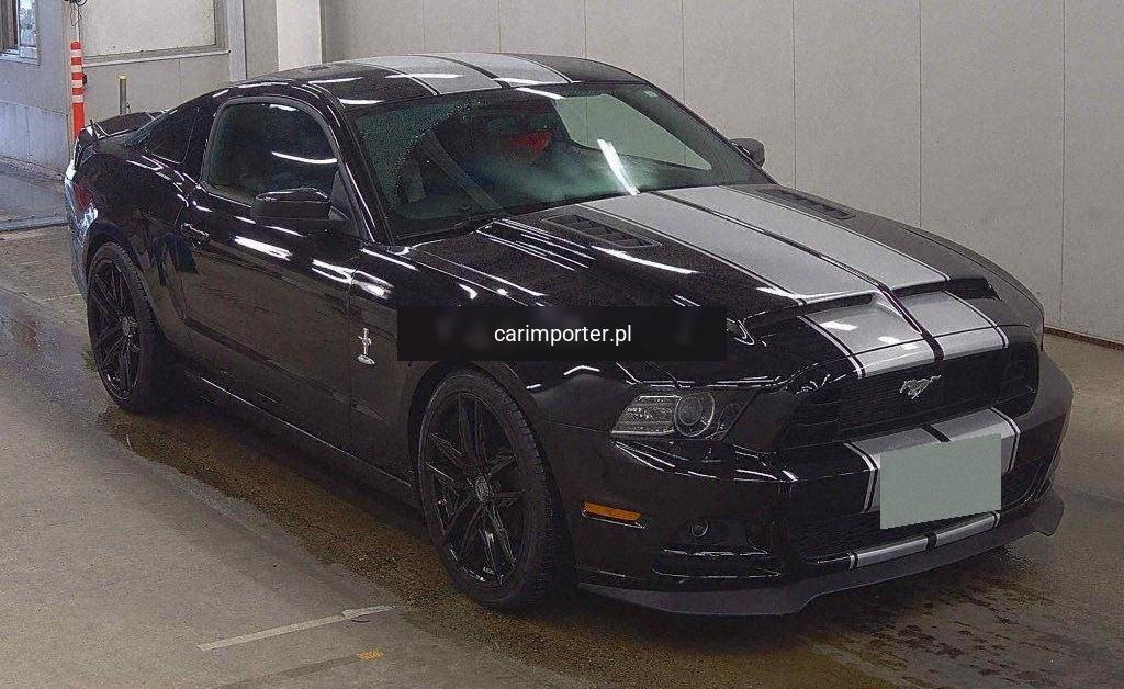 MUSTANG CP OTHERS