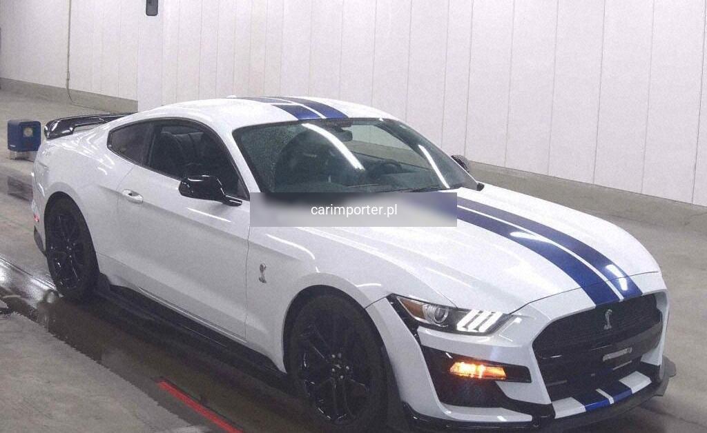 MUSTANG CP