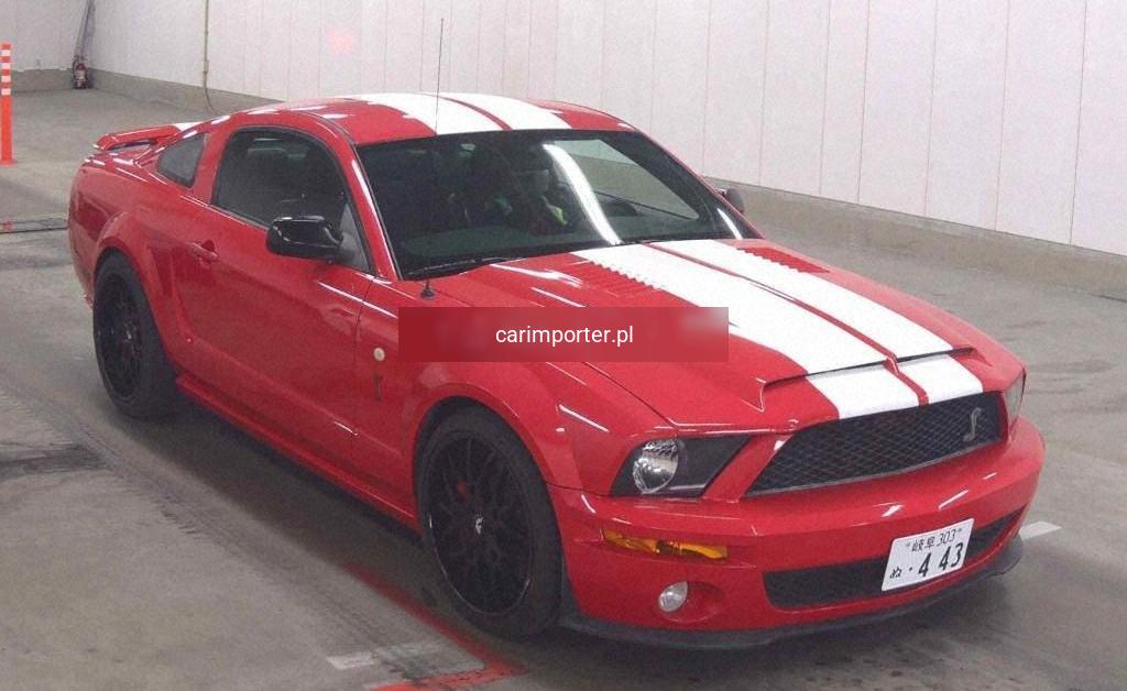 MUSTANG CP OTHERS
