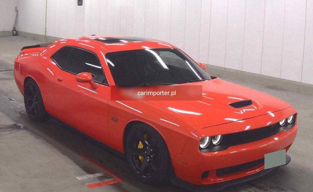 CHALLENGER CP OTHERS