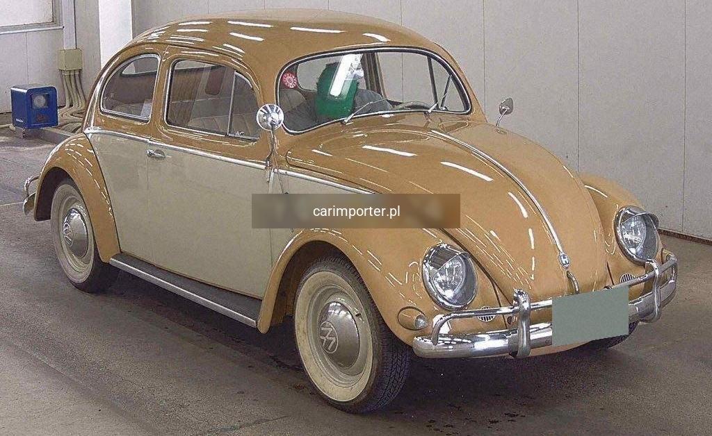 TYPE I