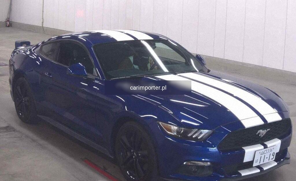 MUSTANG CP 50 YEARS EDITION