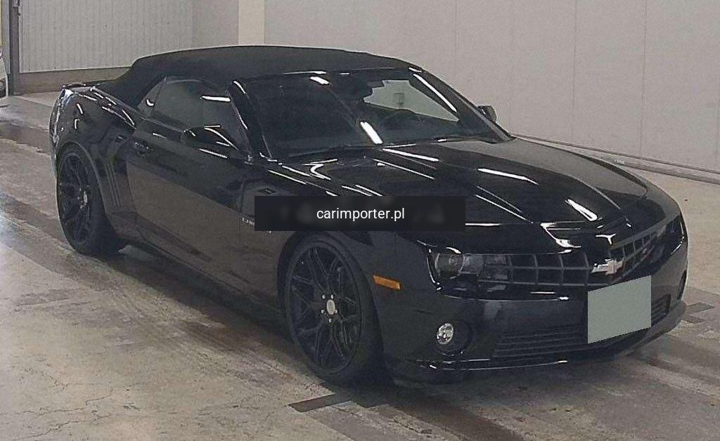 CAMARO CP OTHERS