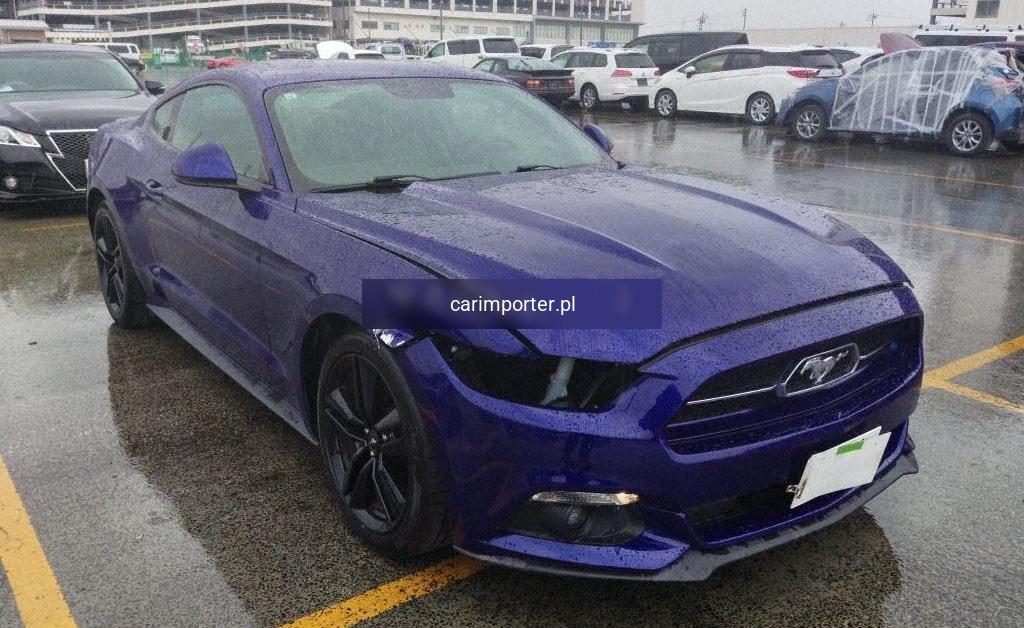 MUSTANG CP 50 YEARS EDITION