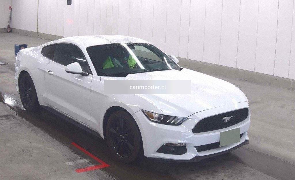 MUSTANG CP 50 YEARS EDITION