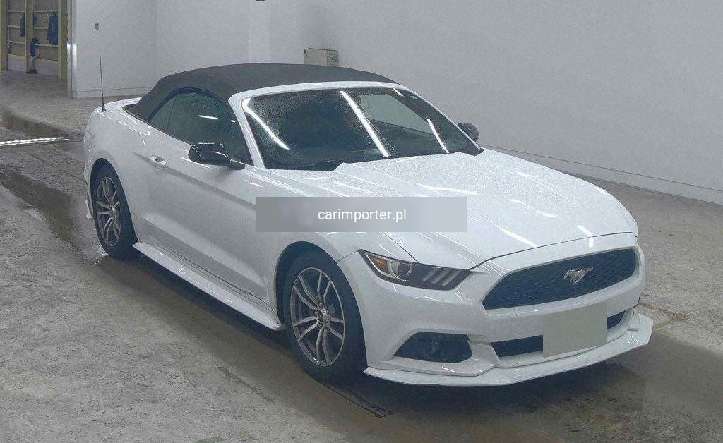 MUSTANG OP OTHERS