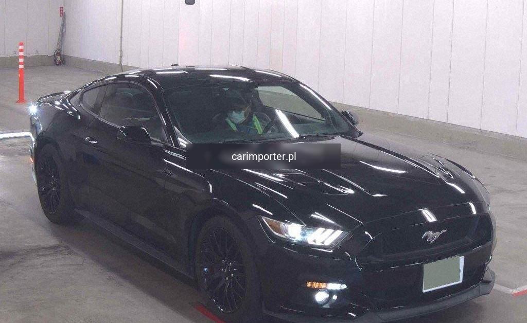 MUSTANG CP OTHERS