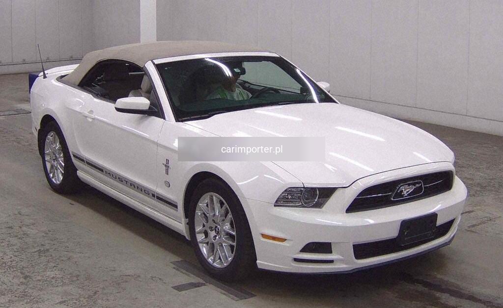 MUSTANG OP OTHERS