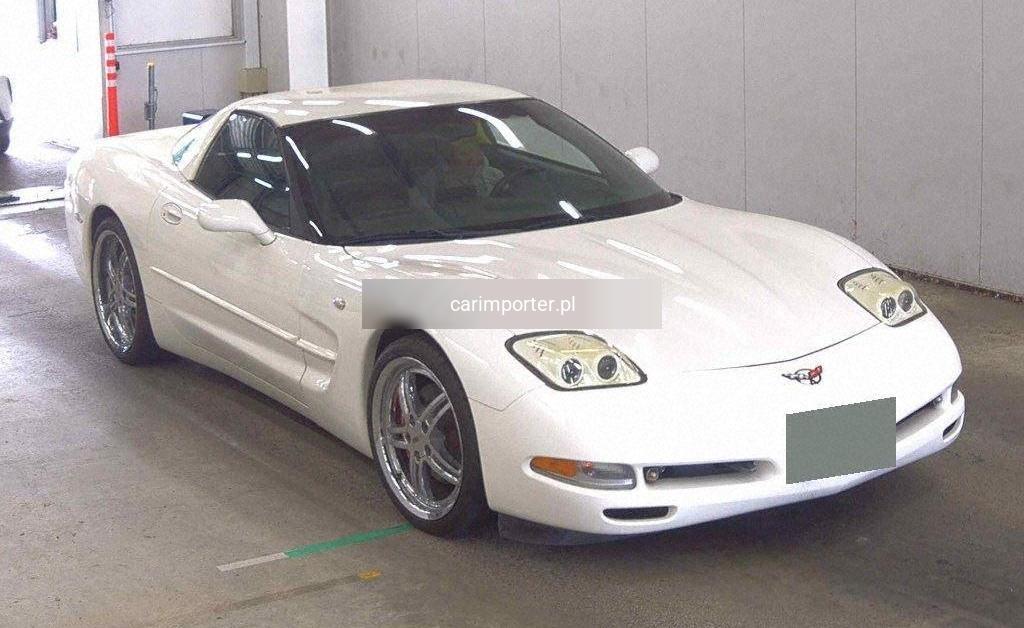 CORVETTE CP OTHERS