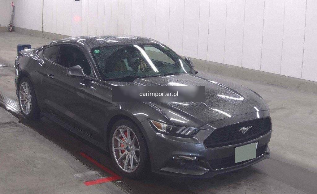 MUSTANG CP 50 YEARS EDITION