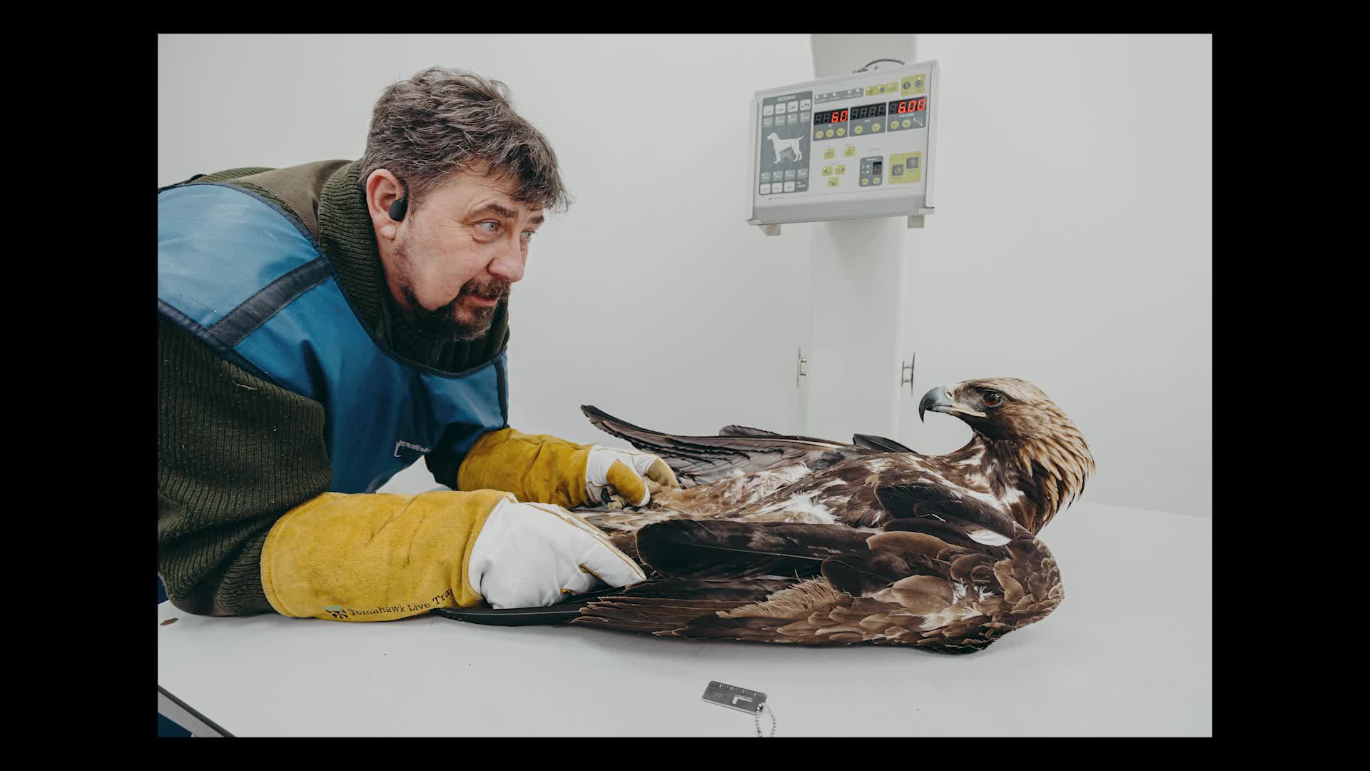 Nowe zdjęcia czarnej dziury pozwalają naukowcom nieco lepiej poznać jej  zachowanie [WIDEO] - National Geographic