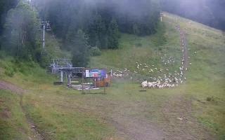 Bachledova Tatry Słowackie - 02-08-2025 09:58