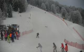 Bachledova Tatry Słowackie - 01-02-2026 11:13