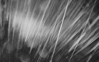 Kasprowy Wierch Hala Gąsienicowa - 01-08-2025 22:48