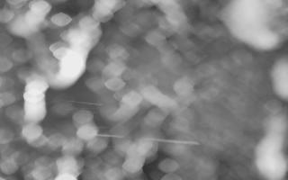 Kasprowy Wierch Hala Gąsienicowa - 03-11-2025 16:23