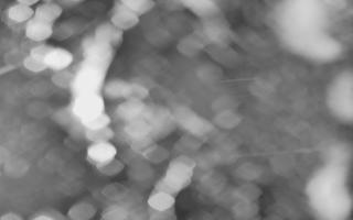 Kasprowy Wierch Hala Gąsienicowa - 03-11-2025 16:48