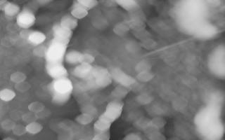 Kasprowy Wierch Hala Gąsienicowa - 03-11-2025 16:57