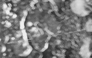 Kasprowy Wierch Hala Gąsienicowa - 03-11-2025 17:13