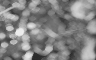 Kasprowy Wierch Hala Gąsienicowa - 03-11-2025 17:30