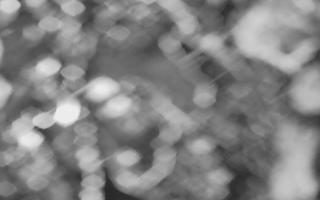 Kasprowy Wierch Hala Gąsienicowa - 03-11-2025 17:46