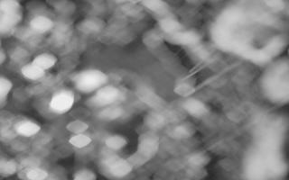 Kasprowy Wierch Hala Gąsienicowa - 03-11-2025 17:55