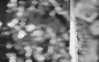 Kasprowy Wierch Hala Gąsienicowa - 03-11-2025 18:03