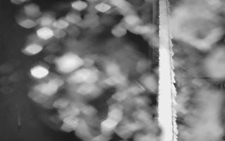 Kasprowy Wierch Hala Gąsienicowa - 03-11-2025 18:11